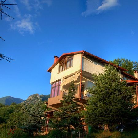 Militsa Guesthouse Naousa  Exteriör bild