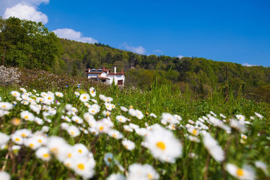 Militsa Guesthouse Naousa  Exteriör bild