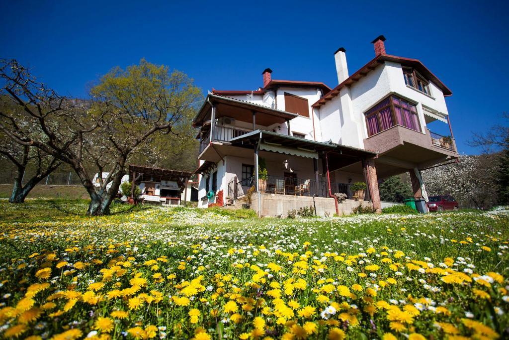 Militsa Guesthouse Naousa  Exteriör bild