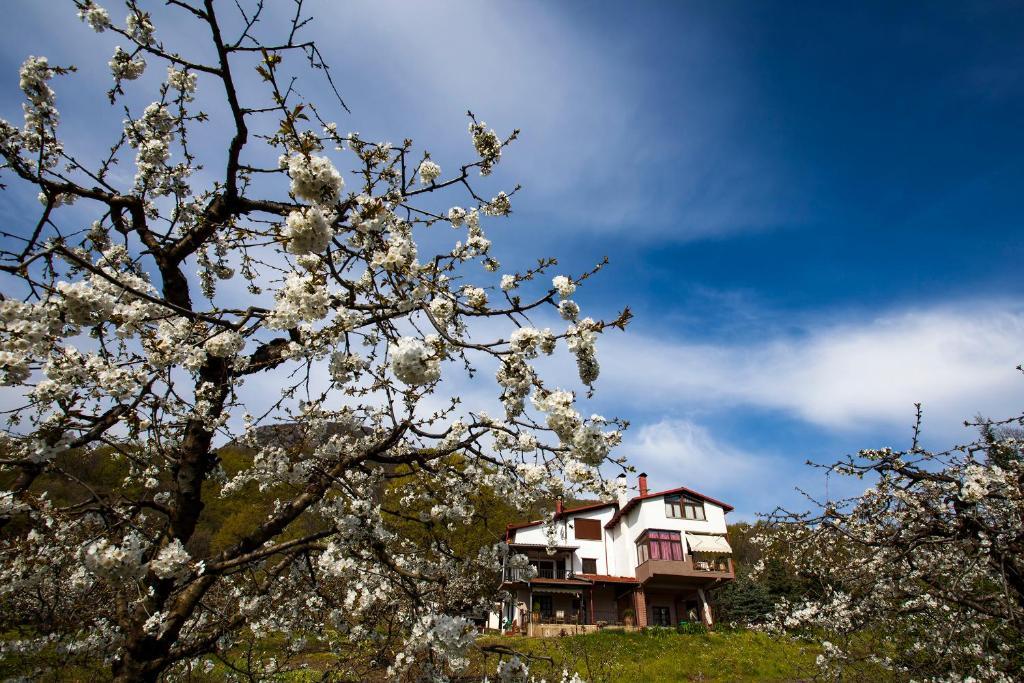 Militsa Guesthouse Naousa  Exteriör bild